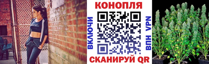 Бошки Шишки семена  купить наркотик  darknet телеграм  Липецк 